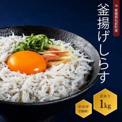 ふるさと納税 松前町 しらす 1kg 訳あり 釜揚げ | ワケアリ 愛媛県 松前町 