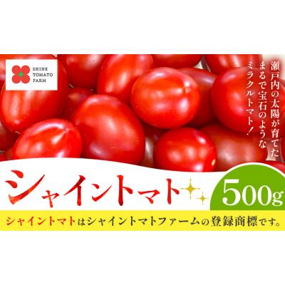 ふるさと納税 笠岡市 シャイントマト 500g シャイントマトファーム[1月中旬-7月下旬頃出荷][配送不可地域あり]