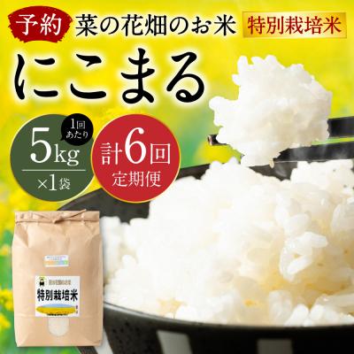 ふるさと納税 八代市 先行予約 R8年産 特別栽培米5kg×定期6回[2026年12月上旬〜順次発送]134-4089-D
