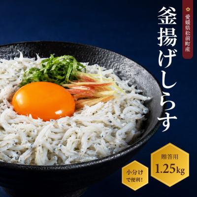 ふるさと納税 松前町 しらす 1.25kg 贈答用 釜揚げ | シラス ギフト 愛媛県 松前町 