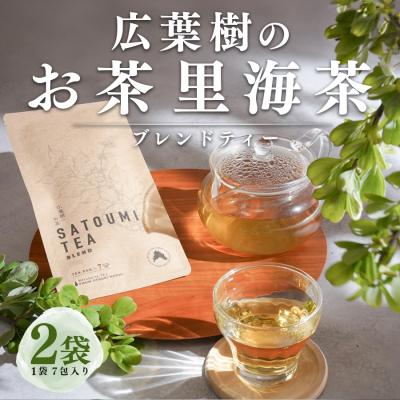 ふるさと納税 大月町 広葉樹のお茶 里海茶 ブレンド 2袋 14パック入り カフェインフリー 野草茶 高知県 大月町