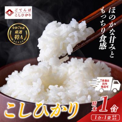 ふるさと納税 小山町 令和7年産 静岡県 コシヒカリ 米 [ 精米 ] 1合