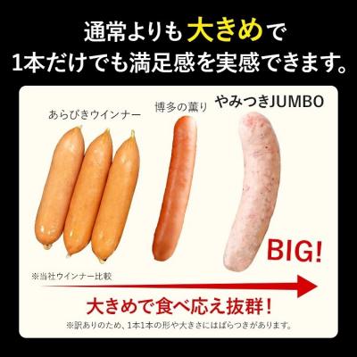 ふるさと納税 古賀市 【数量限定】訳あり!やみつきJUMBOポークフランク!合計3.0kg! |  | 02