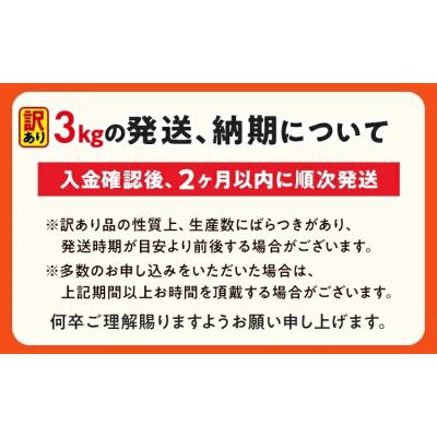 ふるさと納税 古賀市 【数量限定】訳あり!やみつきJUMBOポークフランク!合計3.0kg! |  | 03