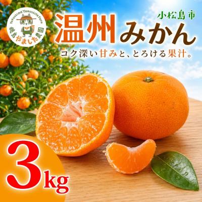 ふるさと納税 小松島市 [先行予約] [2026年12月順次発送] 温州みかん 3kg みかん 完熟 柑橘 果物 フルーツ