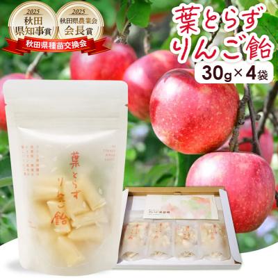 ふるさと納税 大仙市 葉とらずりんご飴(30g×4P)[クロネコゆうパケット]|22_skj-010401