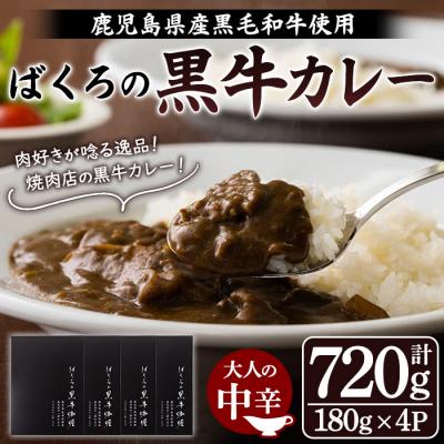 ふるさと納税 いちき串木野市 鹿児島県産 黒毛和牛 カレー 180g×4袋 レトルト 常温保存