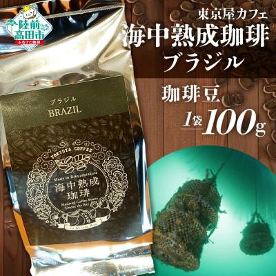 ふるさと納税 陸前高田市 海中熟成珈琲 ブラジル 珈琲豆 100g×1袋 コーヒー 珈琲 豆 酸味 コク 飲料 東京屋カフェ