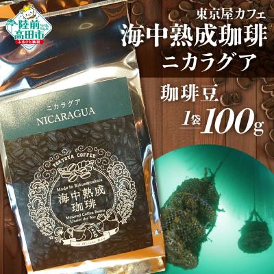 ふるさと納税 陸前高田市 海中熟成珈琲 ニカラグア 珈琲豆 100g×1袋 コーヒー 珈琲 豆 酸味 コク 飲料 東京屋カフェ