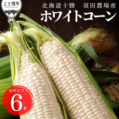 ふるさと納税 上士幌町 北海道産 ホワイトコーン 計6本 上士幌町 須田農場 野菜 とうもろこし スイートコーン