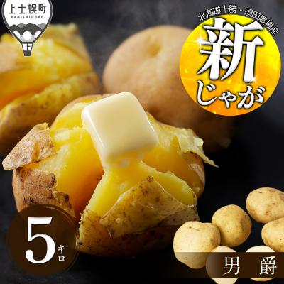 ふるさと納税 上士幌町 北海道産 新じゃが 男爵 5kg 上士幌町 須田農場 野菜 じゃがいも