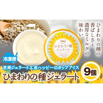 ふるさと納税 笠岡市 ひまわりの種ジェラート 9個 笠岡ジェラート工房ハッピー[45日以内に出荷予定(土日祝除く)]