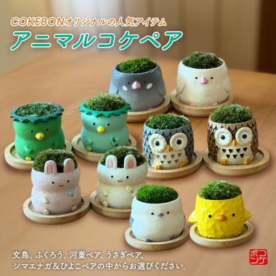 ふるさと納税 小郡市 アニマルコケペア アニマル 鉢 置物 インテリア 雑貨 [文鳥][No5354-7141]