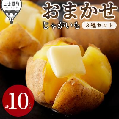 ふるさと納税 上士幌町 北海道産 おまかせ じゃがいも 4種セット 計10kg 上士幌町 加藤農場 野菜