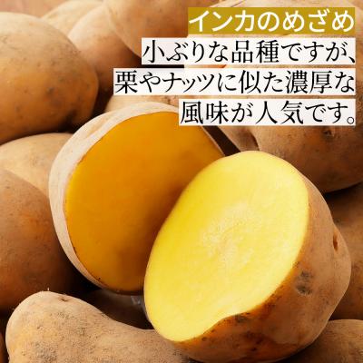 ふるさと納税 上士幌町 北海道産 インカのめざめ その他3種 じゃがいも セット 計10kg 上士幌町 加藤農場 野菜 |  | 01