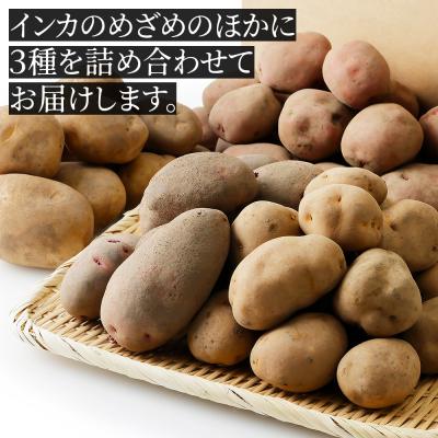 ふるさと納税 上士幌町 北海道産 インカのめざめ その他3種 じゃがいも セット 計10kg 上士幌町 加藤農場 野菜 |  | 02