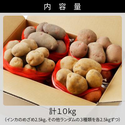 ふるさと納税 上士幌町 北海道産 インカのめざめ その他3種 じゃがいも セット 計10kg 上士幌町 加藤農場 野菜 |  | 03