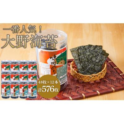 ふるさと納税 徳島市 海苔 のり 大野海苔 576枚(48枚×12本)(ダンボール箱入り)味付け海苔 味のり[CN183]