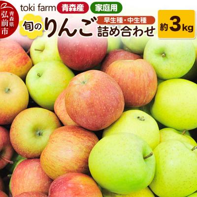 ふるさと納税 弘前市 りんご 旬のりんご 早生種・中生種詰め合わせ 約3kg 家庭用|24_tkf-100301