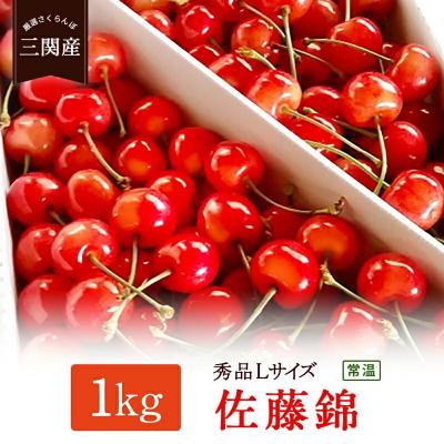 ふるさと納税 湯沢市 さくらんぼ(佐藤錦) 秀L 1kg[H1-2801]
