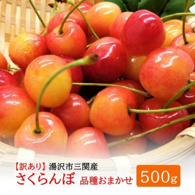 ふるさと納税 湯沢市 三関産 さくらんぼ 訳あり 500g(250g×2)佐藤錦 紅秀峰 サイズ混合[B14605]