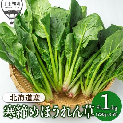 ふるさと納税 上士幌町 北海道産 寒締め ほうれんそう 計1kg 冬霧7 フユギリセブン 上士幌町 須田農場 野菜