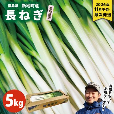 ふるさと納税 新地町 新地町産 長ネギ 約5kg 1箱