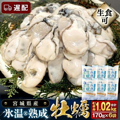 ふるさと納税 石巻市 [遅配]氷温熟成かき 生食用 冷凍170g×6袋 約1kg むき身 まるたか水産 石巻市