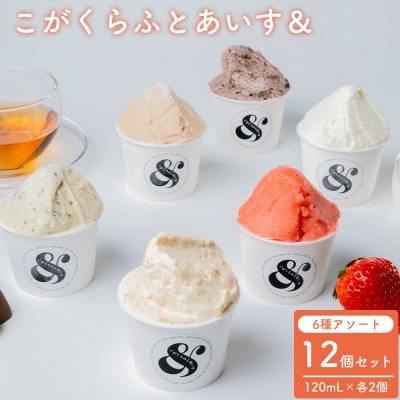 ふるさと納税 古河市 こがくらふとあいす&amp; 12個セット(6種アソート) | アイス HARIO _GI03