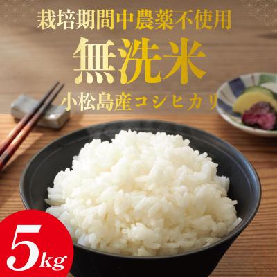 ふるさと納税 小松島市 令和7年産 無洗米 5kg 栽培期間中農薬不使用 米 白米 お米 コメ こしひかり コシヒカリ
