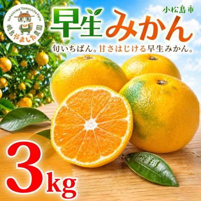 ふるさと納税 小松島市 [先行予約] [2026年10月下旬順次発送] 早生みかん 3kg みかん 早生 柑橘 果物