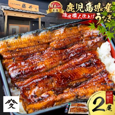 ふるさと納税 鹿児島市 養殖日本一鹿児島県産うなぎ蒲焼職人仕上げ2尾セット