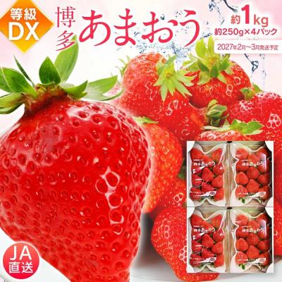 ふるさと納税 古賀市 あまおう 約250g×4パックDX[2027年2月〜3月順次発送]