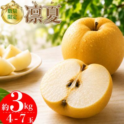 ふるさと納税 佐川町 <2026年8月中旬頃〜発送予定>凛夏 (約3kg/4〜7玉) りんか 梨