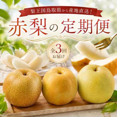 ふるさと納税 八頭町 [梨王国鳥取県産!]赤梨の定期便[2026年 計3回お届け]鳥取県 八頭町