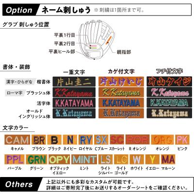 ふるさと納税 三宅町 ローリングス (Rawlings) 硬式 HOH JAPAN スペシャル オーダー グローブ グラブ |  | 02
