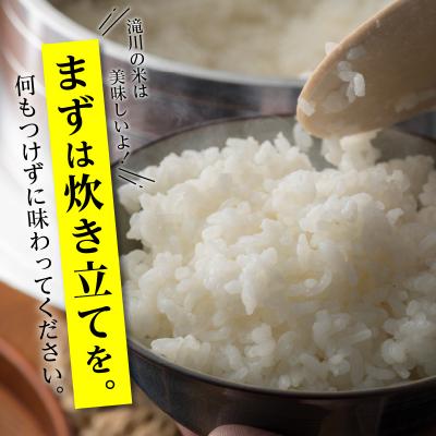 ふるさと納税 滝川市 《令和8年産新米》12ヵ月連続お届け!ゆめぴりか5kg 特A 銘柄 ブランド米 精米 北海道 定期便 |  | 02
