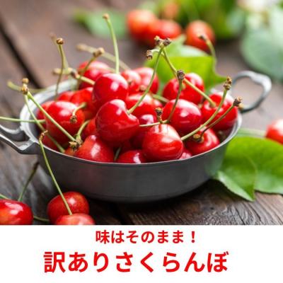 ふるさと納税 湯沢市 朝採れ 訳あり さくらんぼ 400g パック入り 秋田県産[L9907]