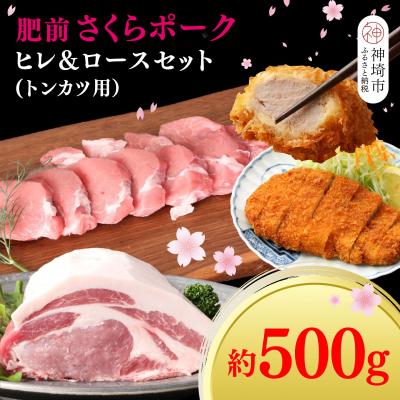 ふるさと納税 神埼市 [数量限定]肥前さくらポーク ヒレ&amp;ロースセット(H107120)