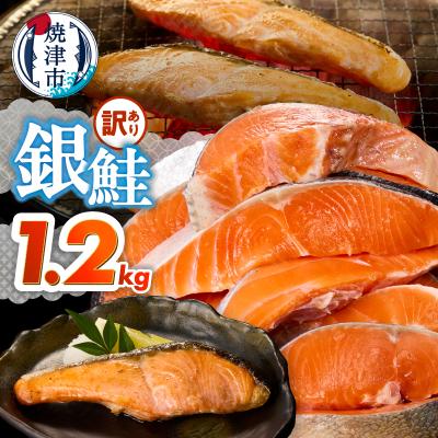 ふるさと納税 焼津市 訳あり! 銀鮭 切身 約1.2kg 便利なジッパーバック入り(a10-1309)