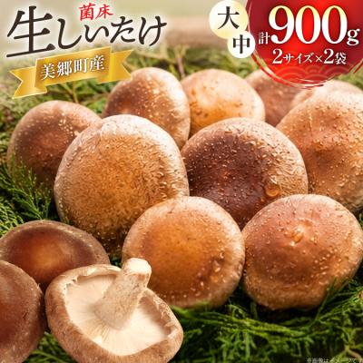ふるさと納税 美郷町 生しいたけ セット 約300g× 2 約150g× 2 計4袋 約900g [31bs0001]