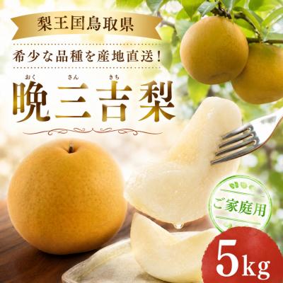 ふるさと納税 八頭町 晩三吉梨(家庭用)5kg[冬に食べられる大玉梨!]鳥取県 八頭町