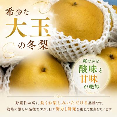 ふるさと納税 八頭町 晩三吉梨(家庭用)5kg《冬に食べられる大玉梨!》鳥取県 八頭町 |  | 01