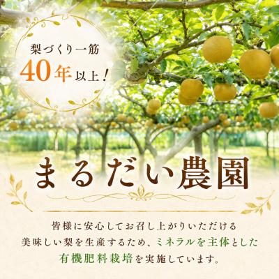 ふるさと納税 八頭町 晩三吉梨(家庭用)5kg《冬に食べられる大玉梨!》鳥取県 八頭町 |  | 02