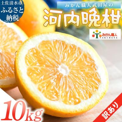 ふるさと納税 土佐清水市 訳あり 河内晩柑 10kg サイズミックス 柑橘 家庭用[R01617]
