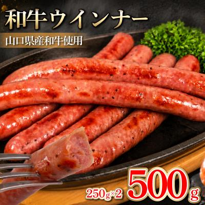 ふるさと納税 下関市 和牛ウインナー 500g 小分け 和牛100% ソーセージ ウインナー