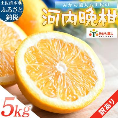 ふるさと納税 土佐清水市 訳あり 河内晩柑 5kg サイズミックス 晩柑[R01616]