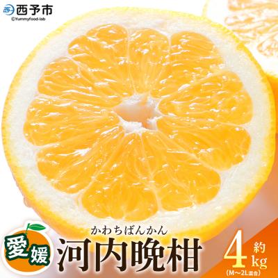 ふるさと納税 西予市 <愛媛県産 河内晩柑 約4kgM〜2L> 農園オレンジとムラサキ 愛媛