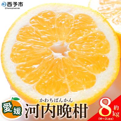 ふるさと納税 西予市 <愛媛県産 河内晩柑 約8kg>柑橘 みかん オレンジとムラサキ 愛媛