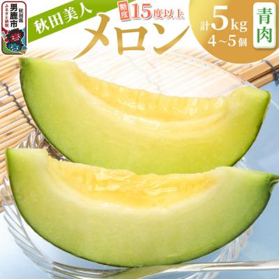 ふるさと納税 男鹿市 [先行受付]秋田美人メロン 4〜5個 計5kg 豊富な甘さの青肉メロン|23_nhn-060501